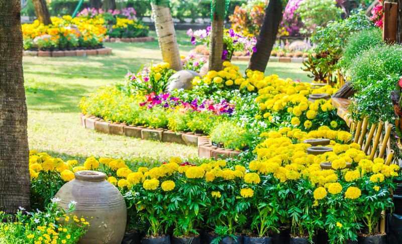 jardim sensorial​